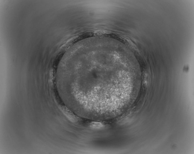 X0000089950519200707271843