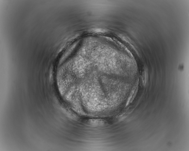 X0000089950520200707271843