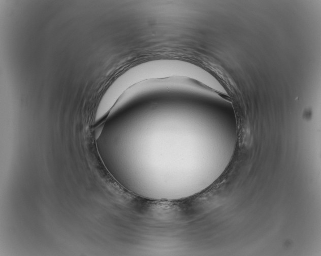 X0000089950521200707271843