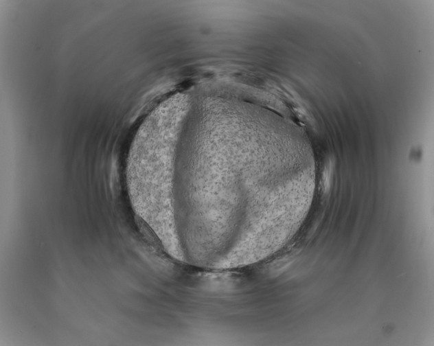 X0000089950524200707271843