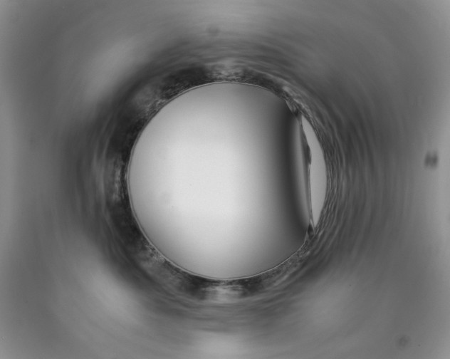 X0000089950525200707271843