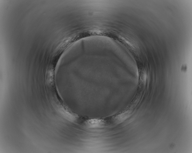 X0000089950526200707271843