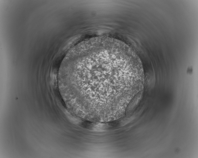 X0000089950527200707271843
