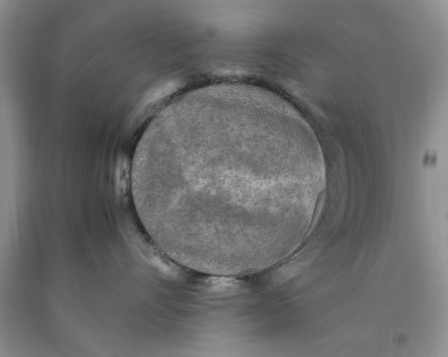 X0000089950528200707271843