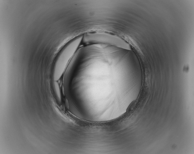 X0000089950530200707271842