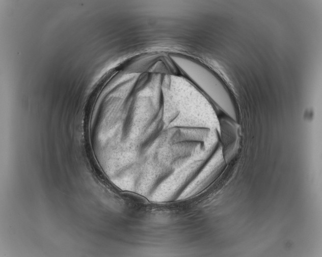 X0000089950531200707271842