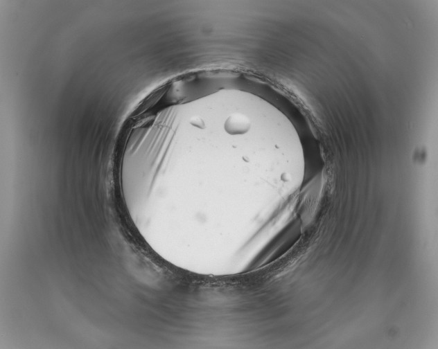 X0000089950532200707271842