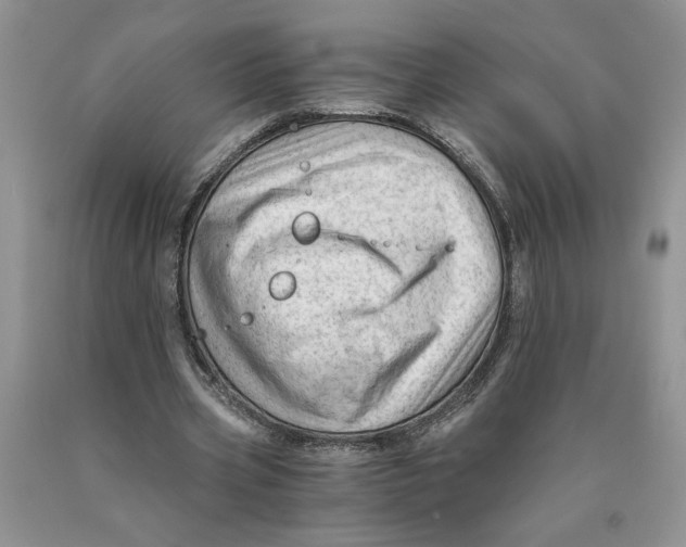 X0000089950533200707271842