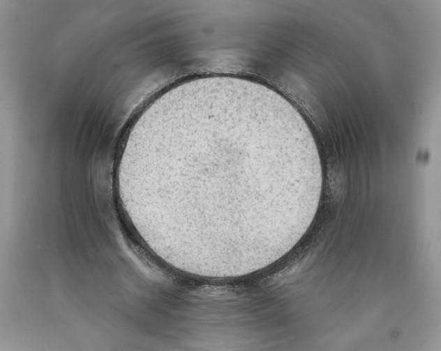 X0000089950534200707271842