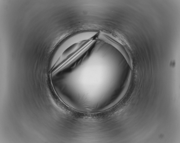 X0000089950538200707271842
