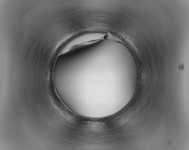 X0000089950539200707271842