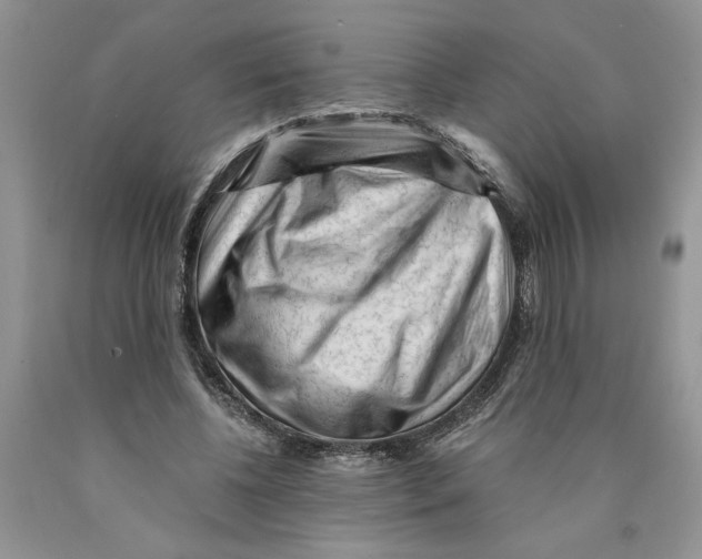 X0000089950540200707271842