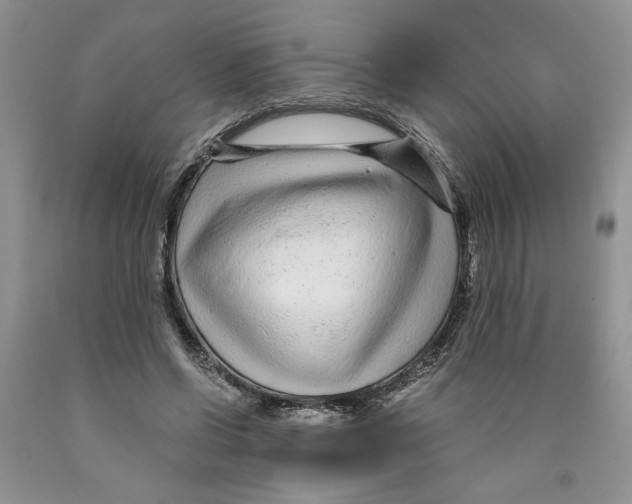 X0000089950542200707271842