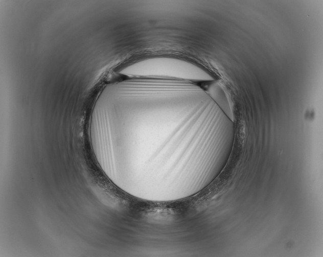 X0000089950543200707271842