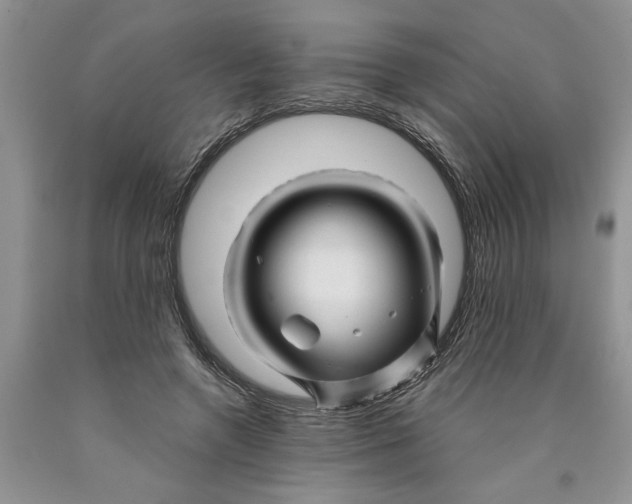 X0000089950546200707271842