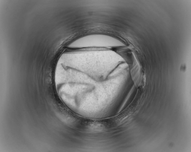 X0000089950547200707271842