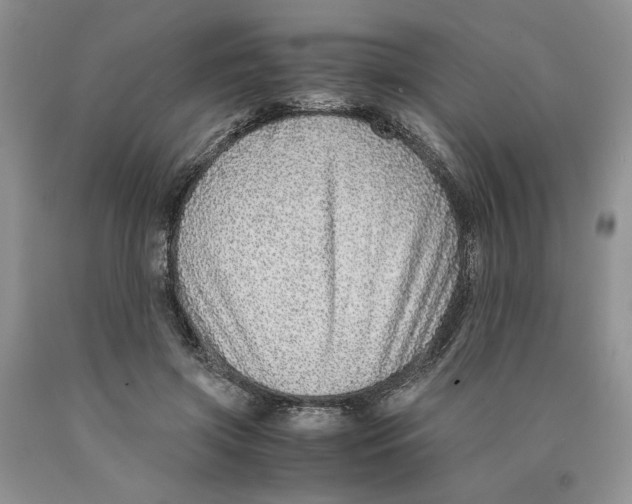 X0000089950549200707271842