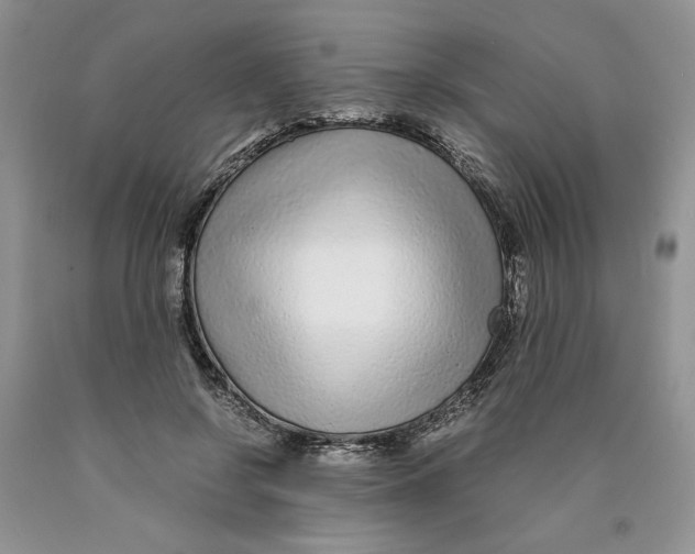 X0000089950550200707271842