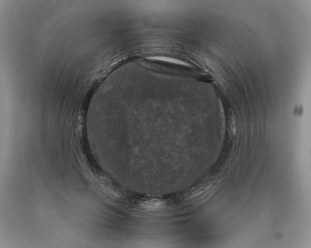 X0000089950551200707271842