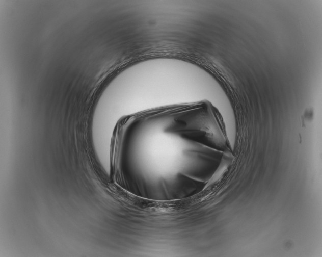 X0000089950552200707271842