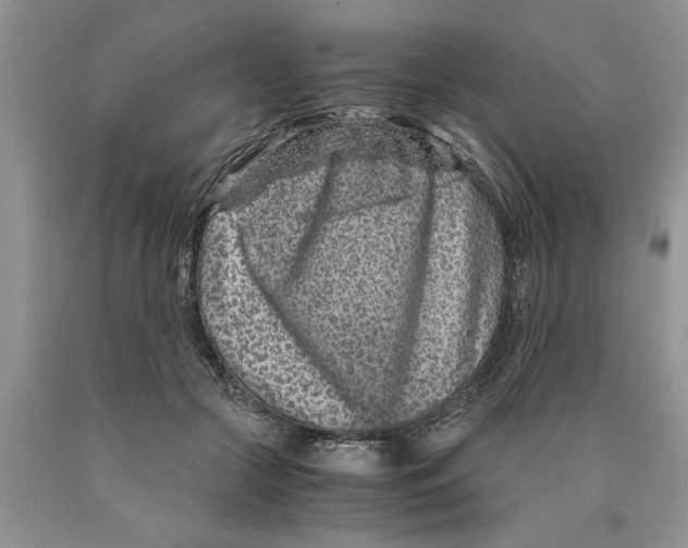 X0000089950553200707271842