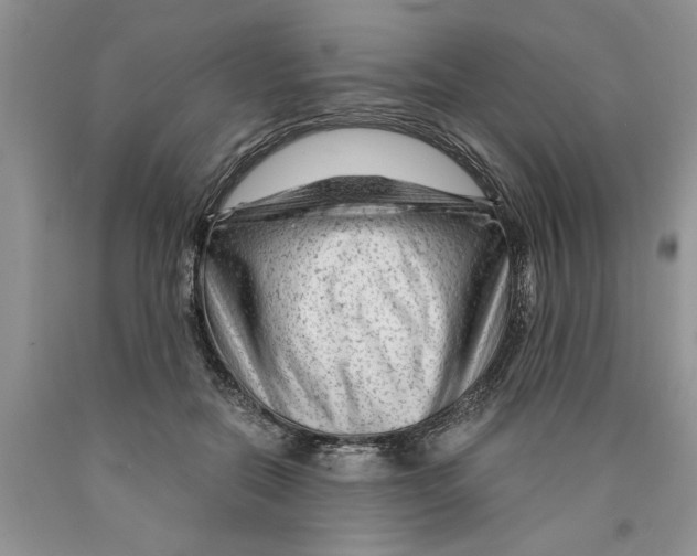 X0000089950554200707271842
