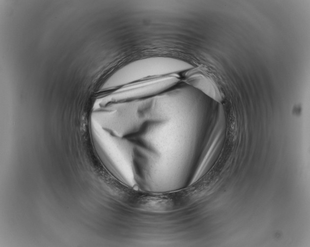 X0000089950555200707271842