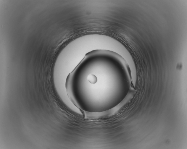 X0000089950556200707271842