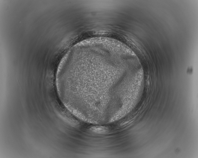 X0000089950557200707271842