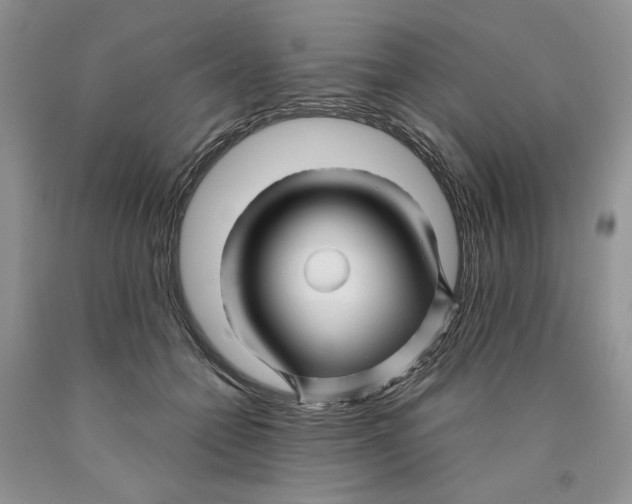 X0000089950558200707271842