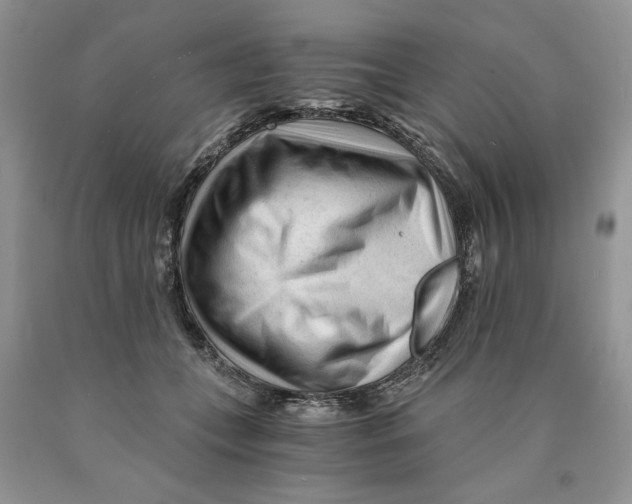 X0000089950559200707271843