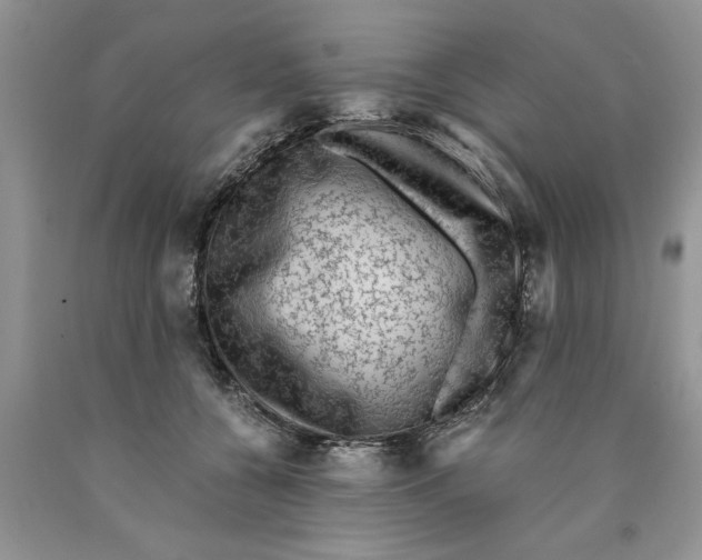 X0000089950560200707271843
