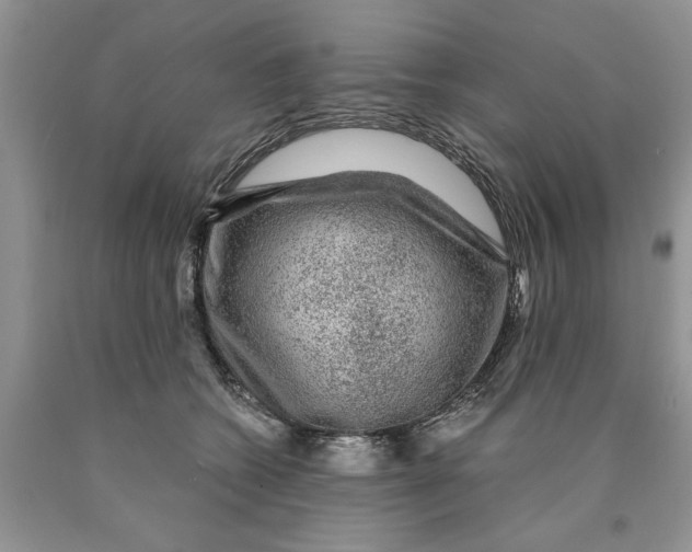 X0000089950562200707271843