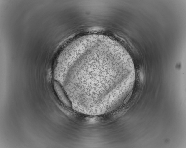 X0000089950564200707271843