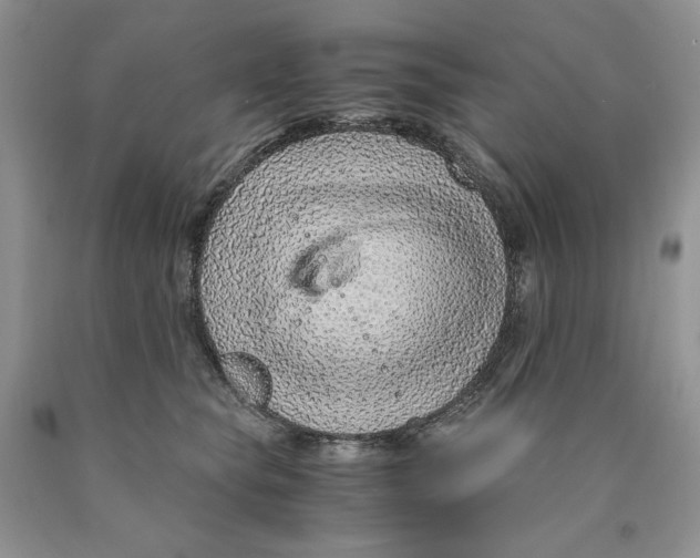 X0000089950565200707271843