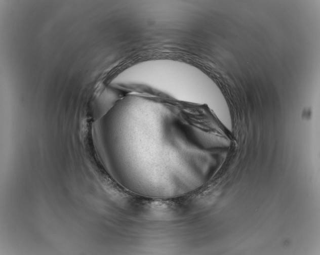 X0000089950566200707271843