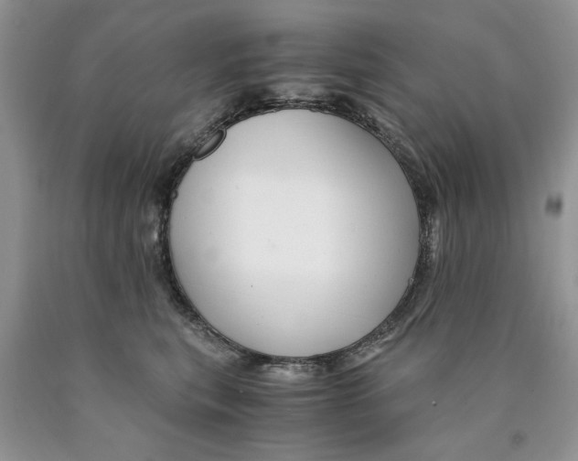 X0000089950567200707271843