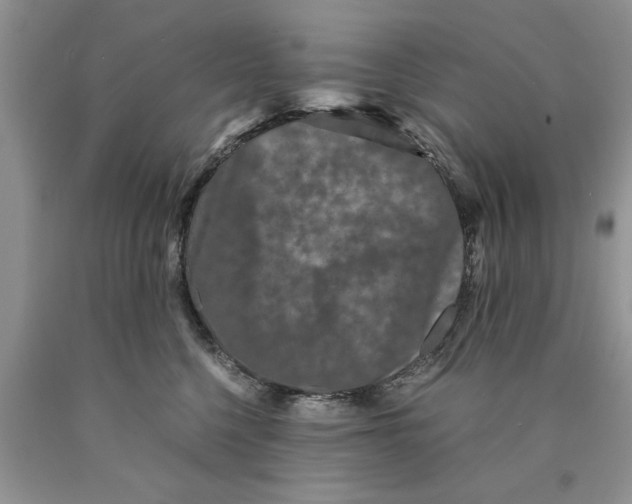 X0000089950568200707271843