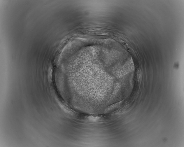 X0000089950570200707271843