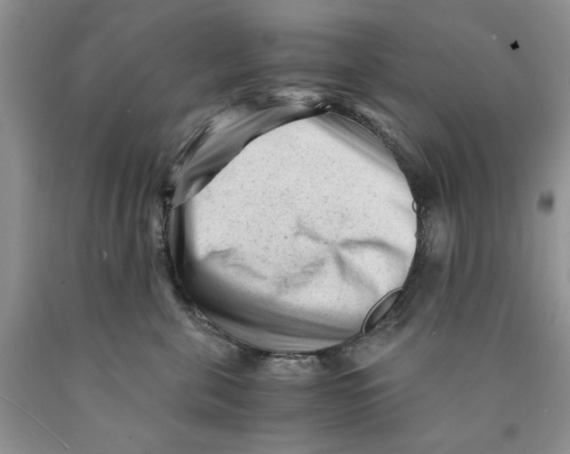 X0000089950571200707271843