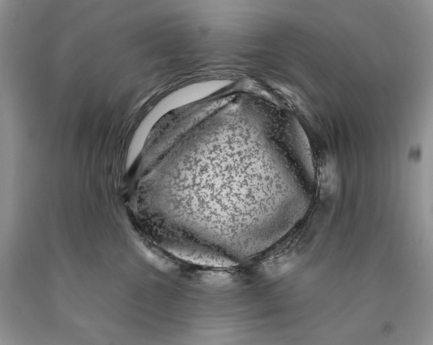 X0000089950572200707271843