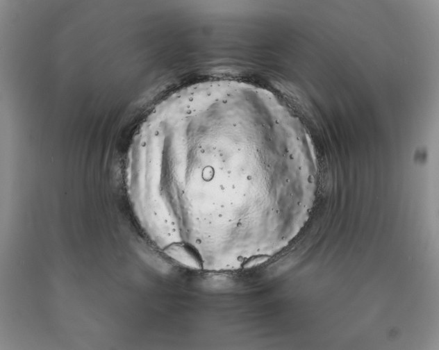 X0000089950573200707271843