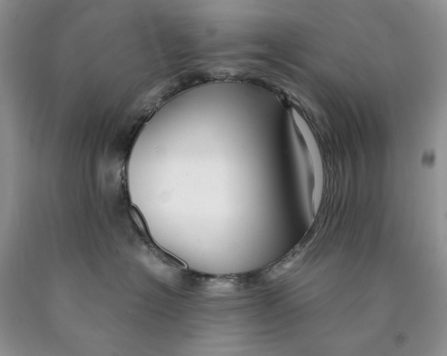 X0000089950574200707271843