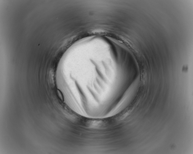 X0000089950575200707271843