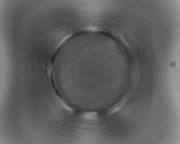 X0000089950576200707271843