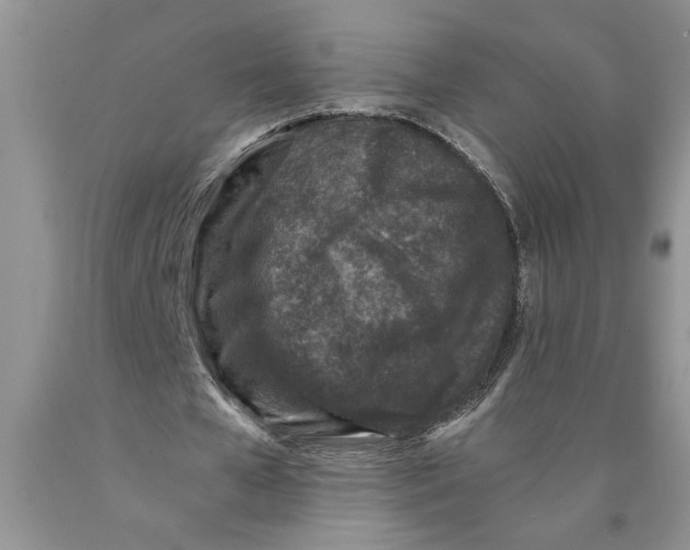 X0000089950577200707271842