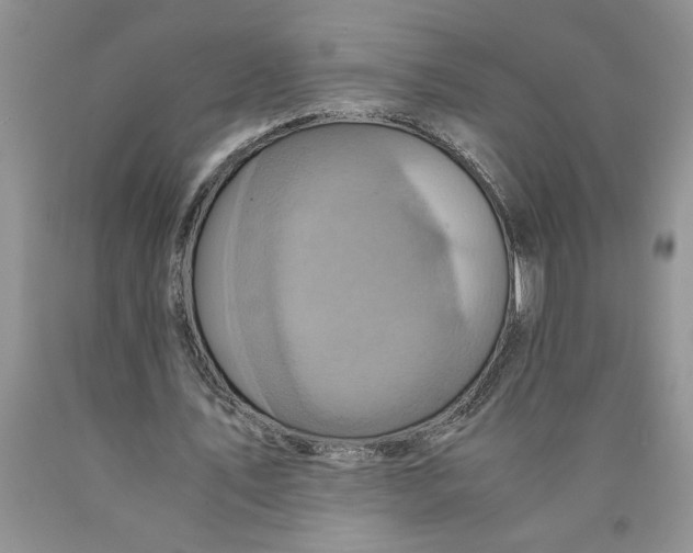 X0000089950579200707271842