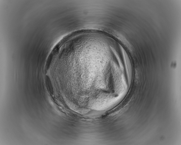 X0000089950580200707271842