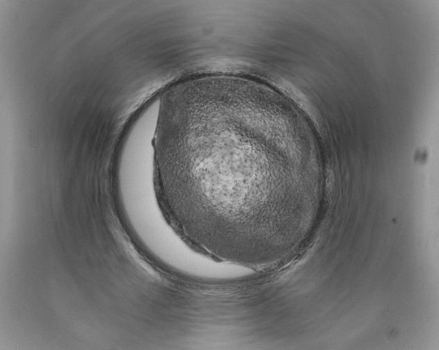 X0000089950581200707271842