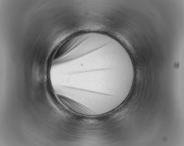 X0000089950582200707271842
